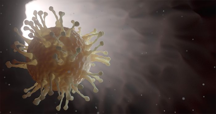 Corona virus article